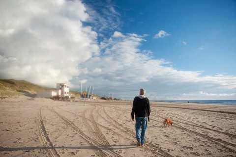 Elderly man is walking his dog at the beach
