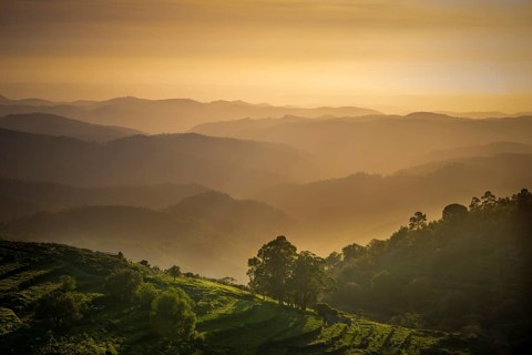 Sunset valley view with terraced fields of Serra de Monchique near mount Foia in the Algarve region