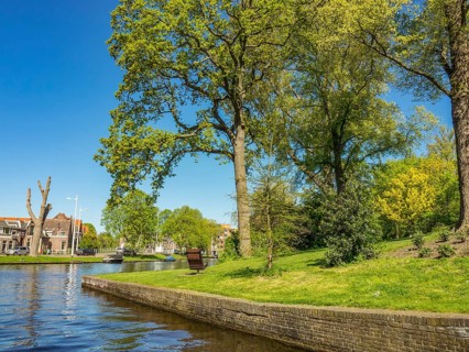 A calm river flows through a park with tall trees and lush green grass under a bright blue sky,