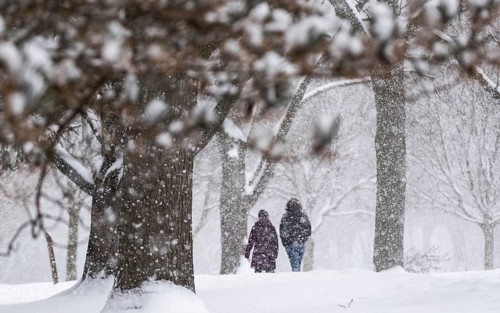 Heavy snow squalls of lake-effect snow falls over Springbank Park in London, Canada. Environment