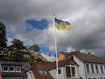 Flag flies over a residential neighbourhood with modern and traditional houses under a cloudy sky,