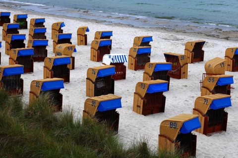 Numbered beach chairs