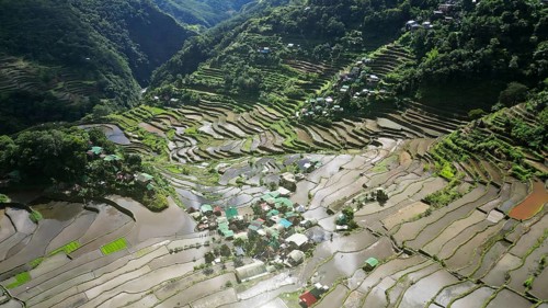 Aerial view of picturesque Batad Rice Terraces in Ifugao Province, Luzon Island, Philippines