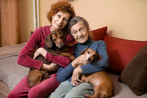 The theme is animal therapy, caring for elderly with dementia and Alzheimer's disease. Adult women