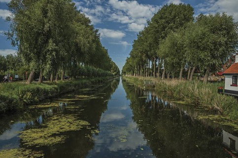 Bushes and grove along canal with sky reflected on water, in the late afternoon and blue sky, near