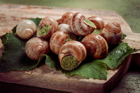 Grape snails stuffed in Burgundy, on a wooden board, French cuisine, no people