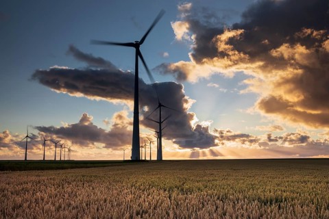 Beautiful sunset sky over turbines and wheat sky, Holland