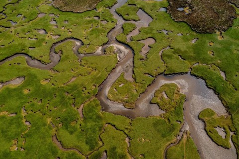 A top down view of the creeks and pools and rivers of the Carrowmore Lacken saltmarsh in northern