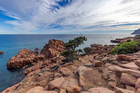 Coastal landscape with bizarre red rocks and gnarled trees with a view of the sea in the sunshine,
