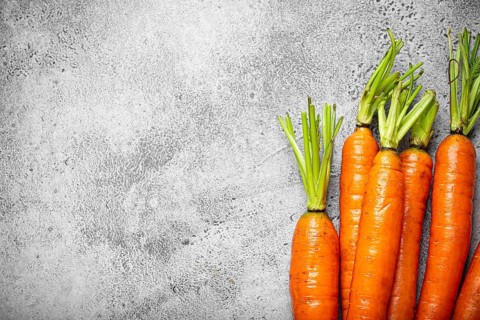 Fresh raw organic farmer carrots with leafs arranged on grey rustic stone background top view,