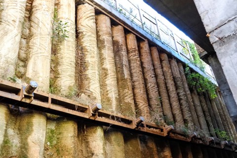 Old piles excavated during the reconstruction of Amursky Boulevard in Khabarovsk