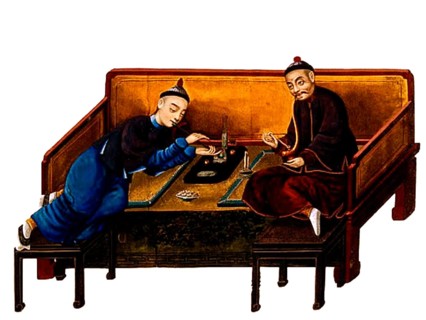 Opium poppy, Papaver somniferum, is the species of plant from which opium and poppy seeds are