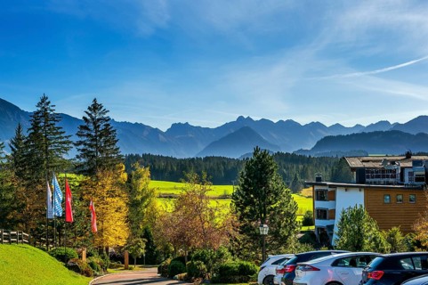 Green meadows, Allgäu Alps and mixed forest with colourful flags near Ofterschwang, Allgäu,