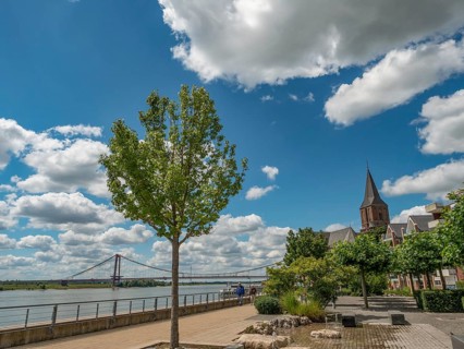 A tree and a church next to a footpath with a river and a bridge in the background, emmerich, lower