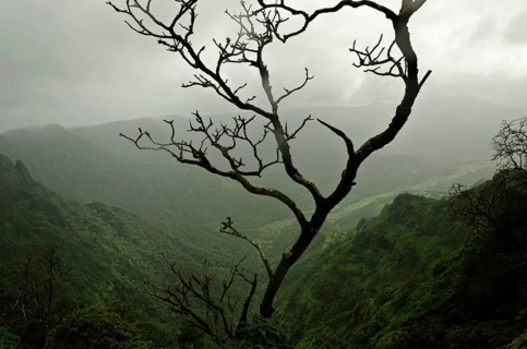 Darshan point, Amba Ghat, Shahuwadi, Kolhapur, Maharashtra, India Asia