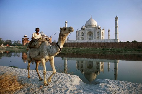 Man riding on camel at Taj Mahal Seventh Wonder of The World, Agra, Uttar Pradesh, India NO MR