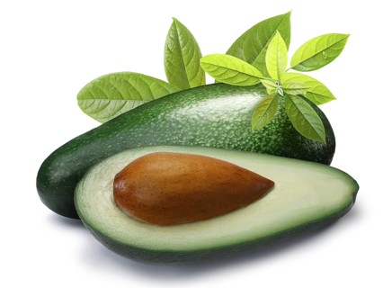 Whole and half green avocado Fuerte (Persea americana) with leaves. Clipping paths, shadow