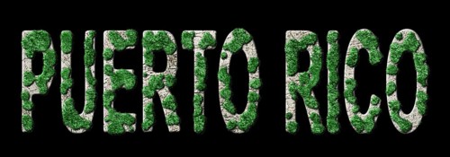 Puerto Rico Reforestation and Climate Message, Sustainable Green Typography, Green Agenda