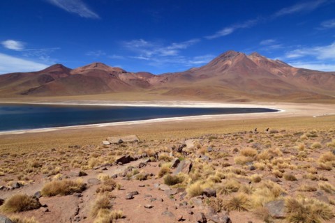 Laguna Miscanti in the Atacama Desert in Chile