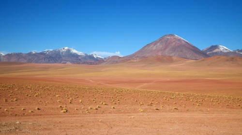 Atacama Desert Laguna Chaxa