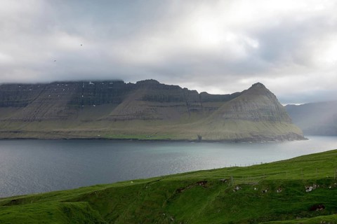 Typical landscape on the Faroe Islands, with green grass and rocks as seen from Vidareidi,