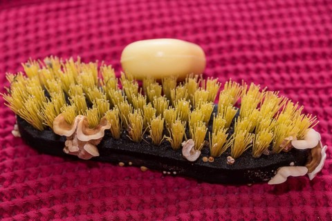 Close-up of weathered root brush with sponge - cleaning brush