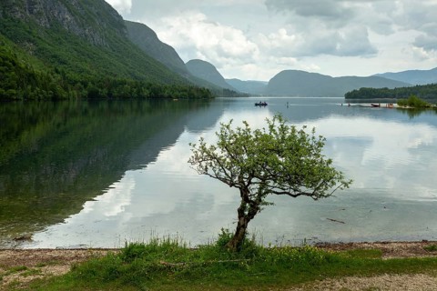 Colorful spring panorama of the Bohinj Lake at Ukanc. Picturesque moning scene in the Triglav