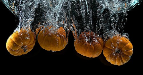 Dwarf Pumpkin (cucurbita pepo), Fruit Falling into Water against Black Background