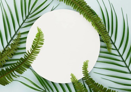 Top view thin leaves ferns with copy space