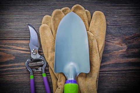 Hand spade Garden shears Safety gloves on wooden board Agriculture concept