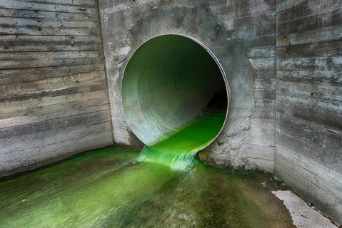 Bright green polluted effluent flowing through a drainage pipe exiting through a concrete wall in