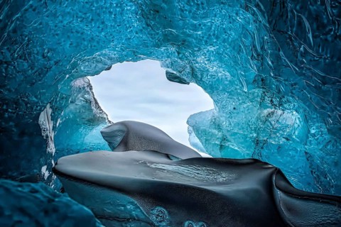 Crystal Ice Cave near Jokulsarlon