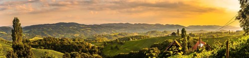 South Styria Vineyards landscape in Sulz Austria. View at Vineyard fields in sunset sun in summer.