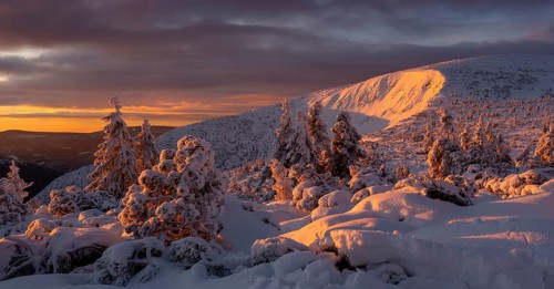 Sunrise in winter in the Karkonosze Mountains. Karkonosze National Park, Poland