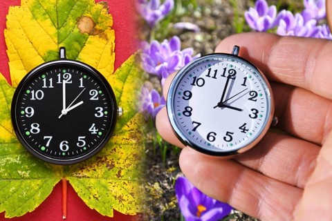Black clock on autumn leaves and white clock in front of crocuses in spring, symbolic photo summer