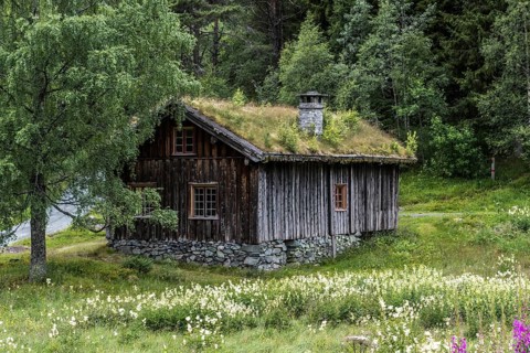 Traditional Timber house with grass roof in the Setesdal in Norway in natural landscape. Old Timber