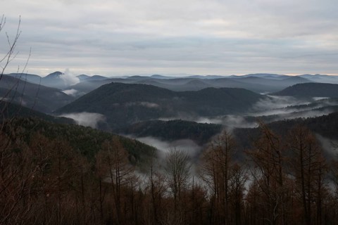 View from a sandstone cliff in the middle of the forest. Landscape with a marvellous view over a