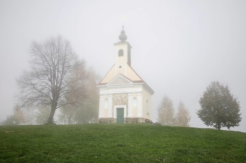 Karger tree, autumn atmosphere with fog, Theresienkapelle, Mass chapel Maria vom Guten Rat, Sausal,
