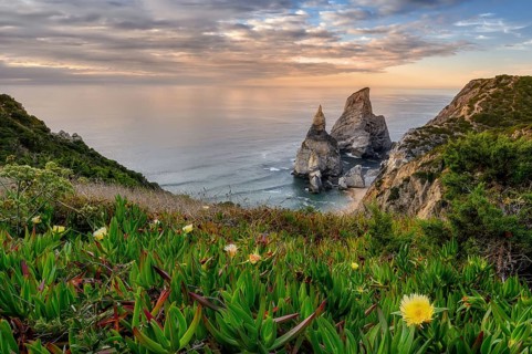 Farol do Cabo de Boca, Portugal's westernmost coast with a beach and flowers at sunset