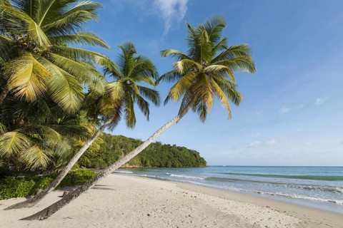 Dream beach in the Caribbean
