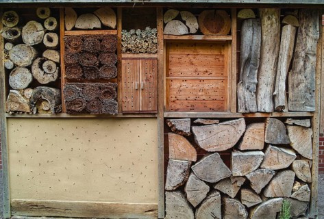 INSEKTENHOTEL. HOSTEL FOR INSECTS