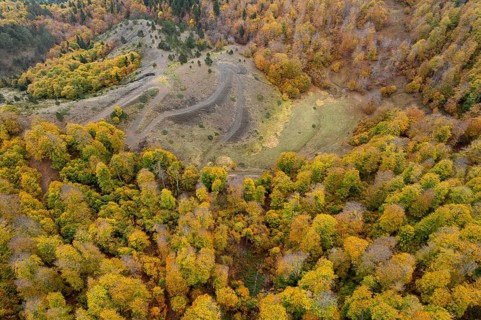 Drone aerial of Autumn forest road. View of autumn forest road with fallen leaves Fall season