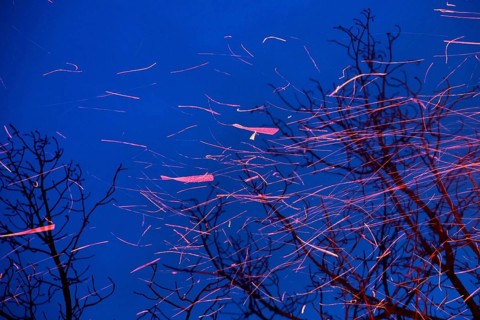 Spinning sparks leave their trajectory as they swirl upwards in the dark blue evening sky.