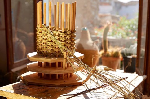 Esparto halfah grass used for crafts as cords basketry and espadrilles