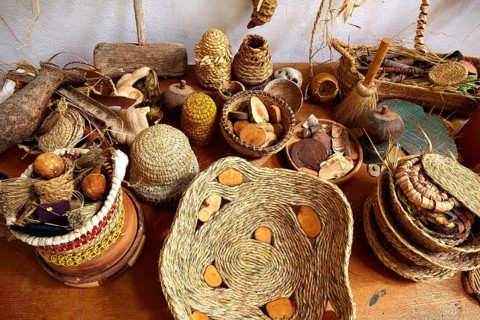 Esparto halfah grass used for crafts as cords basketry and espadrilles