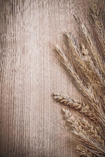 Wheat-rye ears on wooden board food and drink concept