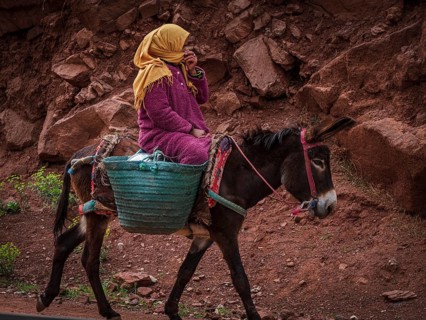 Berber woman riding a donkey, Ait Blal, azilal province, Atlas mountain range, morocco
