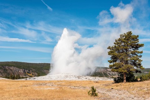 Famous Old Faithful geyser erupting, Yellowstone National Park, USA