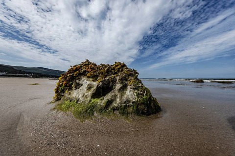 Rocks overgrown with seaweed and aquatic plants on the beach at the edge of Snowdonia National