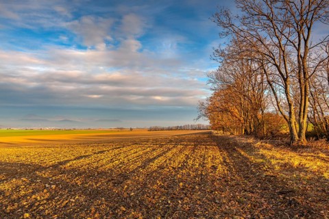 Autumn morning landscape over the city of Louny. Autumn plowed field at amazing sunrise. Czech